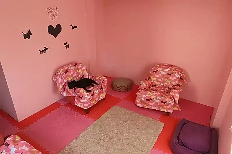 Köpek otelimizde ağırladığımız dostlarımıza sahiplerinin yokluğunu hissettirmemeye çalışıyoruz.