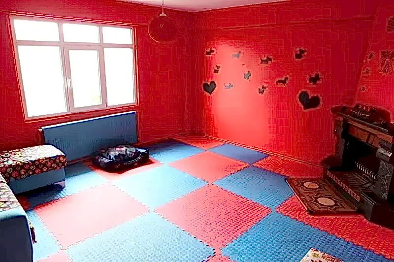 Köpek otelimizde dostlarımıza özel odalarımız ile onları güvenilir ortamlarda ağırlıyoruz.