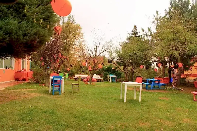 Loyal Friend Köpek Oteli ve Pansiyonu'nun rengarenk bahçesi.