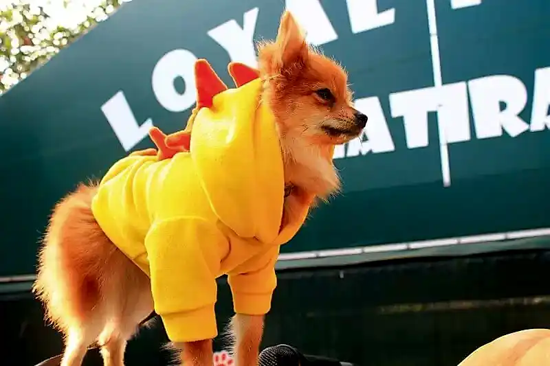 Dostlarınızı güvenilir ortamlarda uzman personelimiz ile ağırlıyor, onları mutlu etmenin gururunu aşıyoruz.