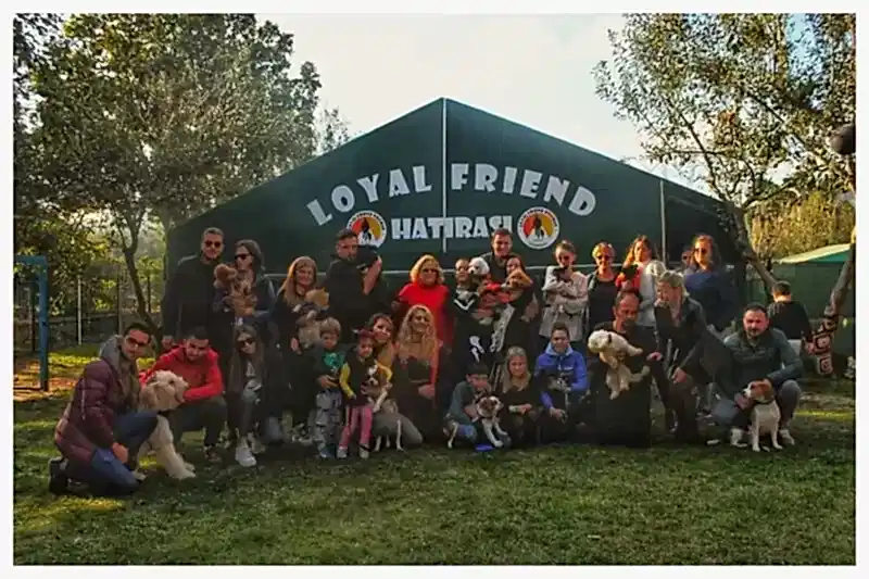 Loyal Friend Köpek Oteli ve Pansiyonu'nda ağırladığımız misafirlerimiz.