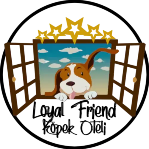 Köpek Oteli >> Dog Hotel – Güvenilir ve Hijyenik