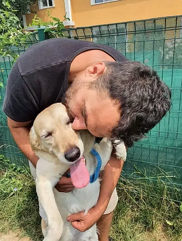 Köpek otelimizin misafiri Loki